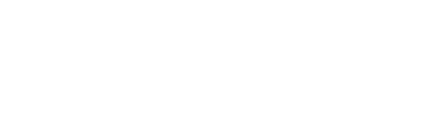 logo-mega-hair-rj